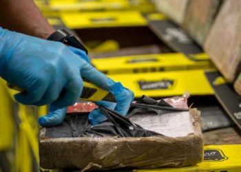 Europol, Ekvador’dan Türkiye ve AB ülkelerine muzlar arasında tonlarca kokain gönderen çeteyi çökertti