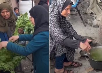 Gazze’de açlık krizi: Filistinli kadınlar ebegümecini kaynatıp yemek yapıyor