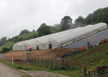 Hasadı sürüyor. Yerine göre üreten birçok ilde 1 milyon TL kazanıyor..