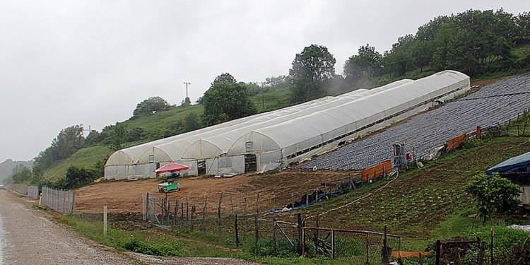 Hasadı sürüyor. Yerine göre üreten birçok ilde 1 milyon TL kazanıyor..