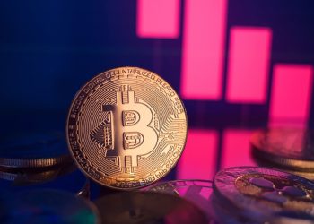 Kriptoda 2024’ün ana temalarından biri BRC-20 olacak