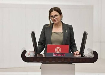 Meclis konuşmasında Kürtçe kelime geçen Türkan Elçi'nin mikrofonu kapatıldı