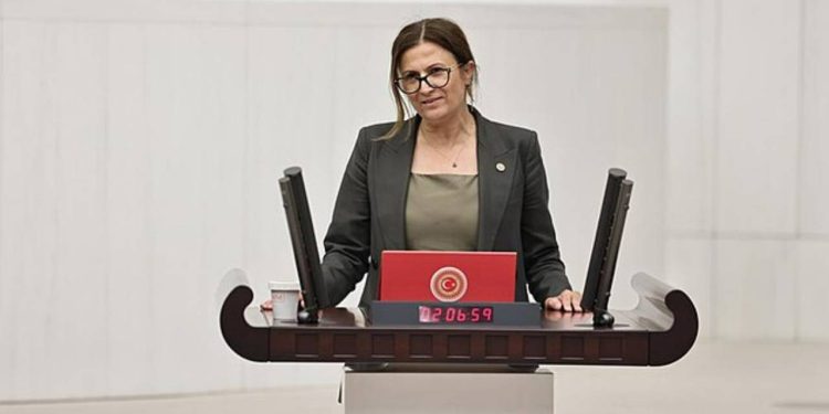 Meclis konuşmasında Kürtçe kelime geçen Türkan Elçi'nin mikrofonu kapatıldı