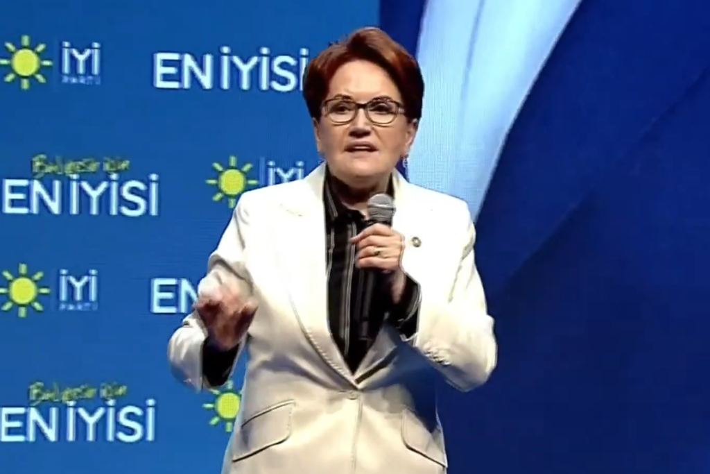 Meral Akşener: Başaramadık, varsayalım ki bütün suç benimdir