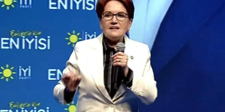 Meral Akşener: Başaramadık, varsayalım ki bütün suç benimdir