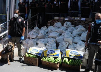 Muz kolilerinde 1 ton kokain ele geçirilmişti: İthalatı yapan şirket sahipleri hakkında karar