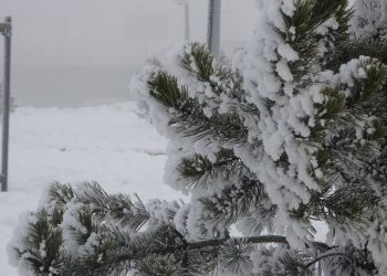 Sibirya soğukları Ardahan'ı dondurdu: Hava -23 dereceyi gördü
