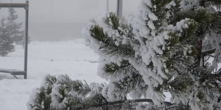 Sibirya soğukları Ardahan'ı dondurdu: Hava -23 dereceyi gördü