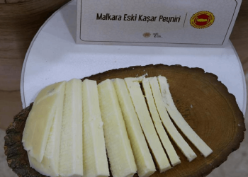 Trakya'nın 3 lezzeti AB yolunda