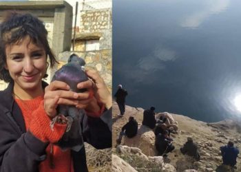 Üç gün önce kaybolmuştu: Rojvelat Kızmaz ölü bulundu