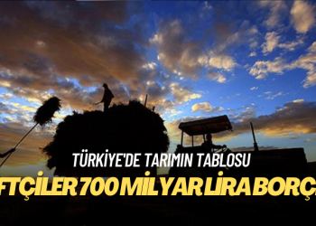 Türkiye’de tarımın tablosu: Çiftçiler 700 milyar lira borçlu