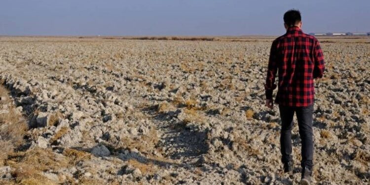 Kış geçti kar yok, hava sıcak, tarımda üretim zor