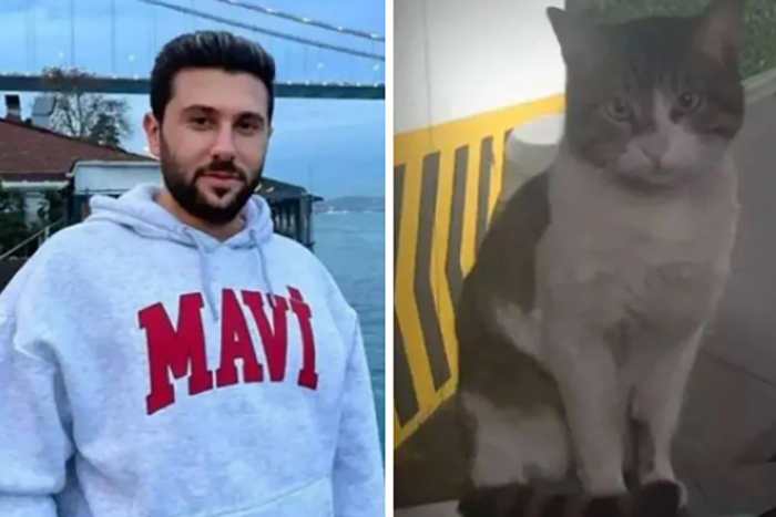 ‘İyi hal’ indirimi uygulandı; kedi katili İbrahim Keloğlan’a 2 yıl 6 ay hapis cezası