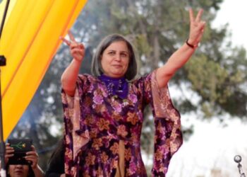 “AKP Lideri dört yıllık planını yapmış, Kürt sorununda dış faktörler etkili olacak”