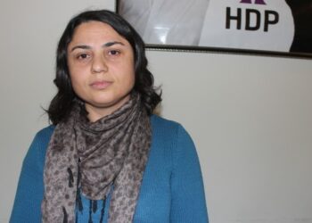 DBP eski Genel Başkan Yardımcısı İlbasan beraat etti