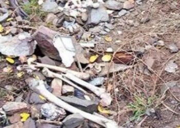 Yargıtay, Kulp Davası’nı zaman aşımından düşürdü