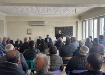 DEM Parti’nin seçim çalışmaları Newroz ruhuyla sürüyor
