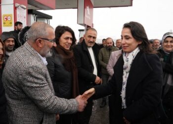 Hatimoğulları Bedlîs’te seçim çalışmalarına katıldı