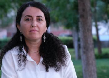 Günay’dan Ramanlı’ya: Eşbaşkanlık senin gibi erkeklerin anlayacağı bir mesele değil