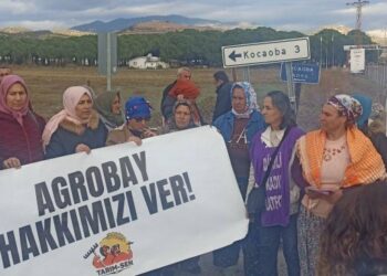 Agrobay içileri Ankara’ya yürüyecek