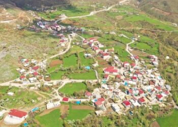 Eşinden şiddet gören kadın, babası ve ağabeyi katledildi