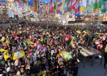 Pinyanişi Gençliği: DEM Parti irademizdir