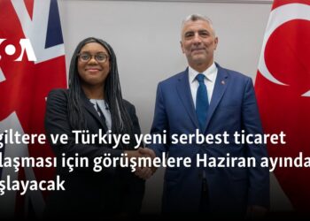 İngiltere ve Türkiye yeni serbest ticaret anlaşması için görüşmelere Haziran ayında başlayacak