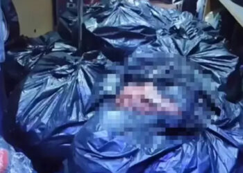 700 kilo at ve eşek eti ele geçirildi: İstanbul’da sucuk yaptırıp piyasaya süreceklermiş