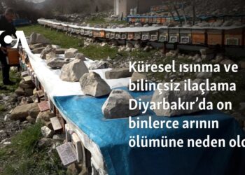 Küresel ısınma ve bilinçsiz ilaçlama Diyarbakır’da on binlerce arının ölümüne neden oldu