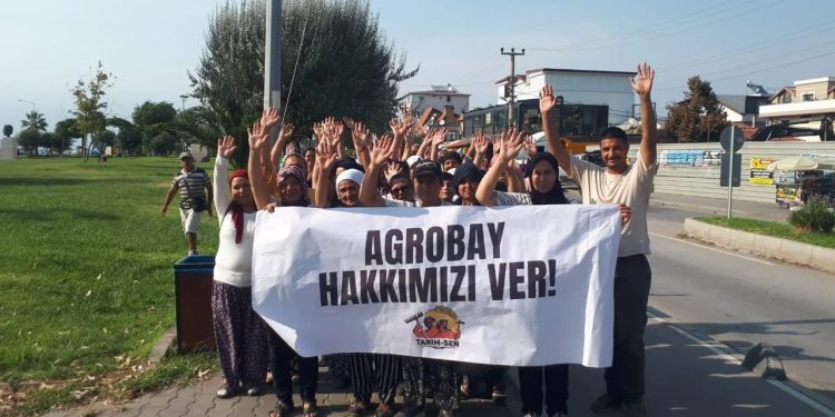 Agrobay direnişi sürüyor: İşçiler Çalışma Genel Müdürü ile görüştü