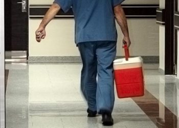 Bir hastaya genetiği değiştirilmiş domuz böbreği nakledildi