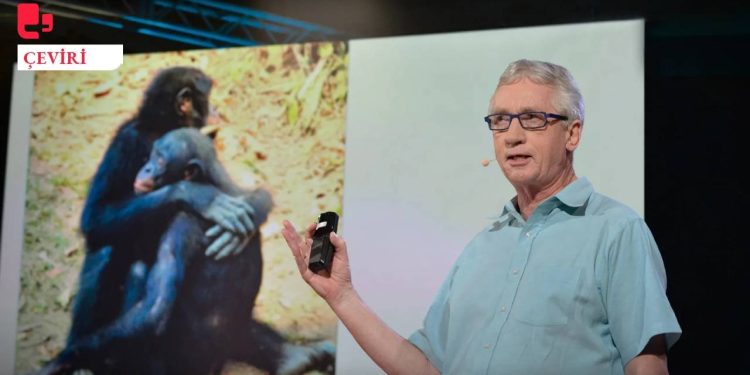 Primatlarda diplomasi: Çatışma, uzlaşma, arabuluculuk ve işbirliği