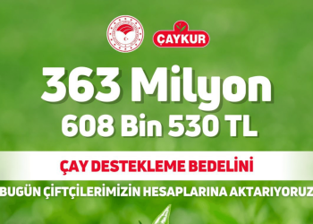 Çay üreticilerine 363,6 milyon lira destek ödemesi bugün yapılacak