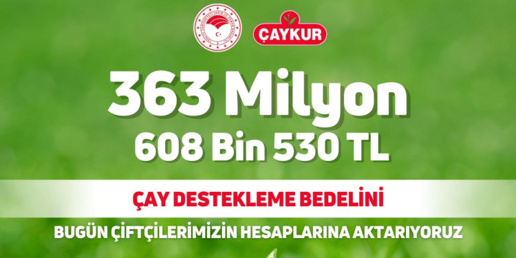 Çay üreticilerine 363,6 milyon lira destek ödemesi bugün yapılacak
