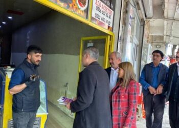 DEM Parti sokak sokak çalışıyor: Çalmadık kapı bırakmayacağız