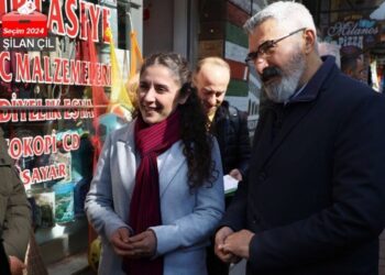 Dep'in DEM Partili adayları: Bizim olanı almaya geldik