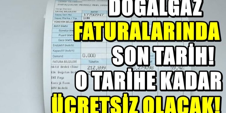 Doğalgaz faturalarıyla ilgili düzenleme; Ne zaman ücretli olacağı açıklandı