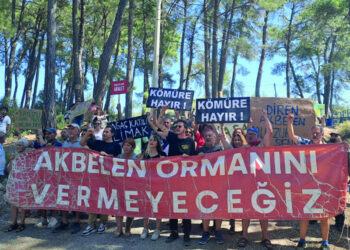 Erdoğan imzaladı; Akbelen Ormanı’nın çevresi maden sahası için kamulaştırıldı