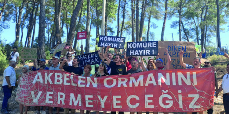 Erdoğan imzaladı; Akbelen Ormanı’nın çevresi maden sahası için kamulaştırıldı