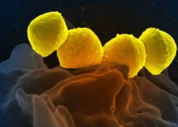 Et yiyen bakteri paniği! Hızla yayılıyor