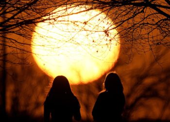 Geçen ay şimdiye kadar yaşanan "en sıcak şubat" olarak kayıtlara geçti