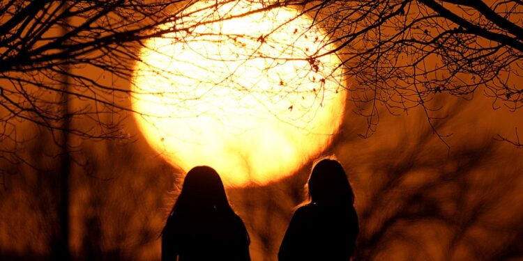 Geçen ay şimdiye kadar yaşanan "en sıcak şubat" olarak kayıtlara geçti