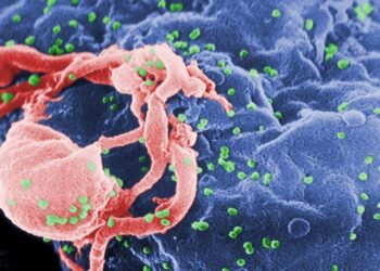 AIDS'e karşı yeni umut: HIV'i hücreden ayırma denemesi başarılı oldu