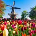 HOLLANDA | Dünyanın en büyük çiçek parkı Keukenhof, 75. kez açıldı