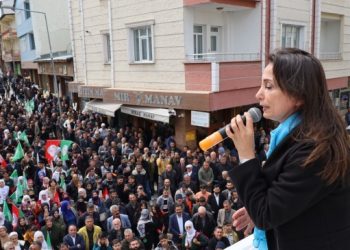 Hatimoğulları: 31 Mart'ta mührü DEM ağacının altına vuralım