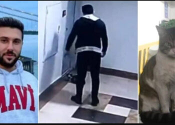 Hayvan hakları savunucuları, canice katledilen Eros için eyleme çıkıyor