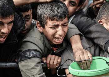 İnsanlığın gözleri önünde... "Gazze'de insanların hayatta kalabileceği koşulların çöküşüne tanık oluyoruz"