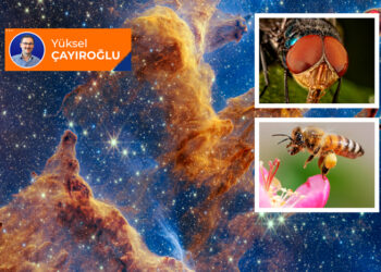 İslam düşüncesinde nedensellik; sebeplere tapmak! (1)