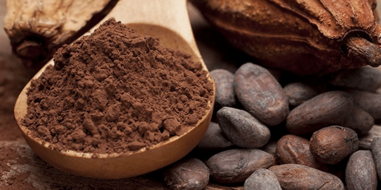 Kakao fiyatlarında yükseliş devam ediyor