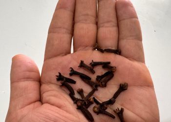 Karanfil kanser, Alzheimer ve Parkinson tedavisinde kullanılabilir